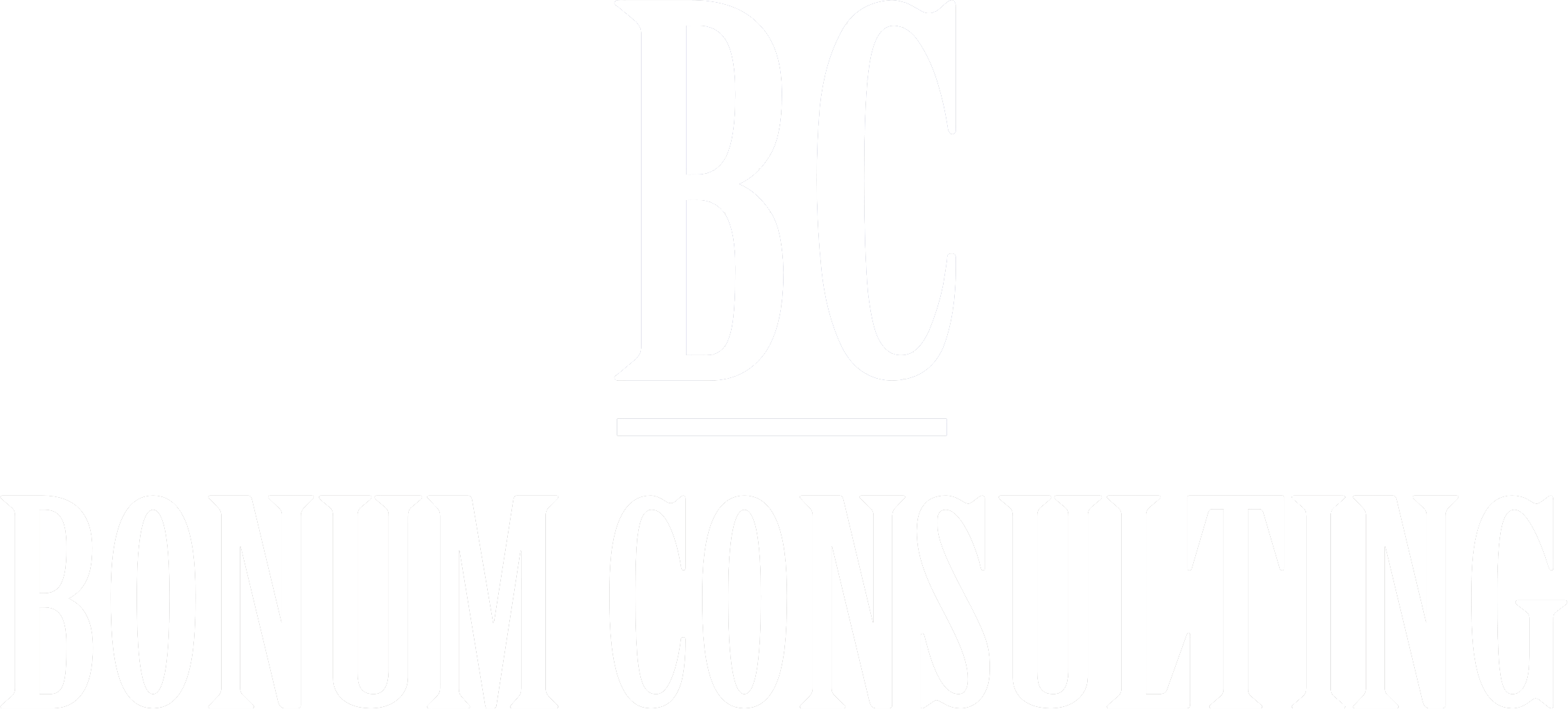 Bonum Consulting